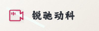 前沿联盟